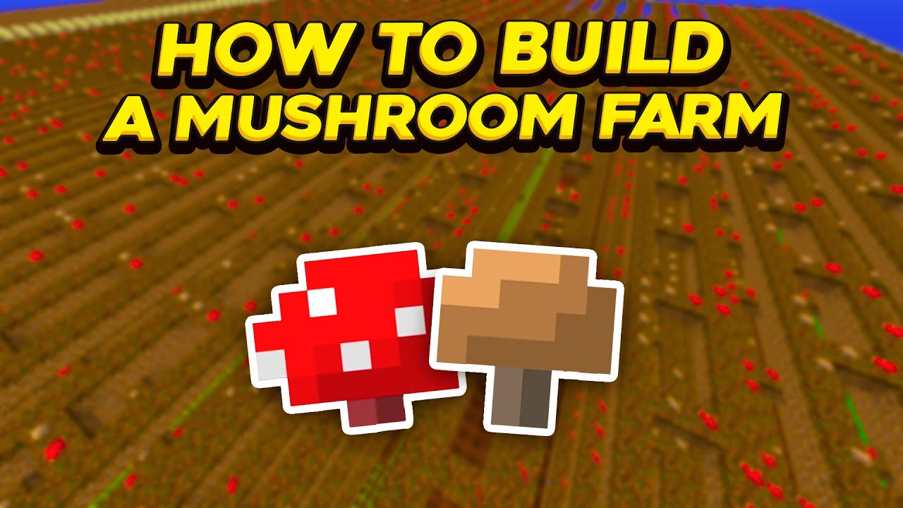 How to Build the Best Mushroom Farm! (Hypixel Skyblock)
