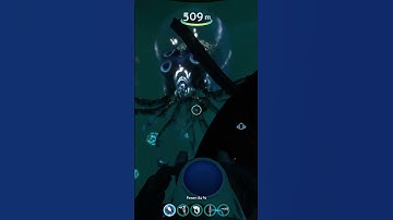 OH GOD #subnautica #subnauticabelowzero #shorts