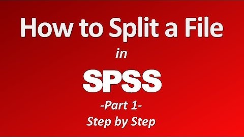 How to Split a File in SPSS (Part 1)