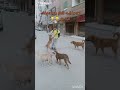 إنتا بهيما يبا ورك اكسبلور شلتنا ترند