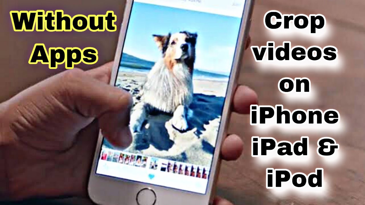 How To Crop Video On An IPhone IPad And IPod How To Crop Video How To Crop Video On An IPhone IPad And IPod How To Crop Video