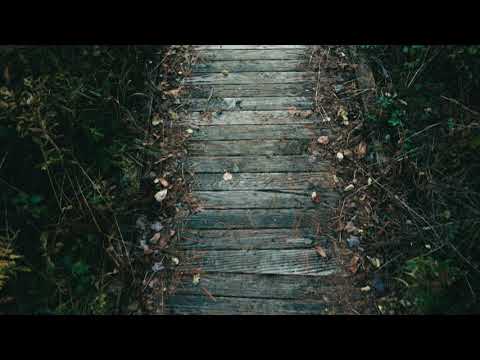 Ben Talmi - Canoe Meadows (Official Lyric Video)