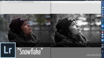 (Lightroom preset) Snowflake