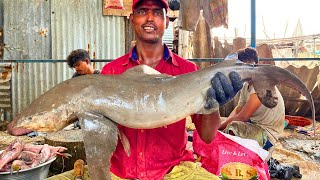 KASIMEDU 🔥 SANKAR BHAI | BIG SHARK 🦈 FISH CUTTING VIDEO | IN KASIMEDU | FF CUTTING 🔪