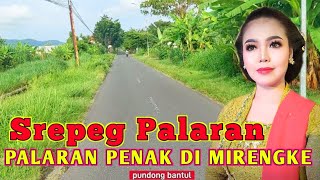 SREPEG PALARAN NYAMLENG❗️PALING PENAK DIMIRENGKE❗️KAGEM JAMPI SAYAH