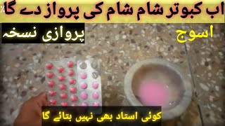 Kabootaro ko Urna ka Nuskha || Kabutaro ki Parwaz Bar hany ka Nuskha || pigeons energy booster Resimi