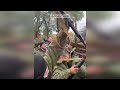 Мобилизованные москвичи бунтуют / Отказываются воевать / Выдали незарегистрированное оружие