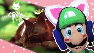MEOW! [LUIGI PLAYS STRAY]