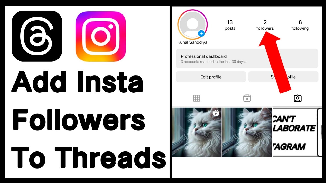 How To Add All Your Instagram Followers To Threads At Once - YouTube