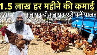 1.5 लाख हर महीने॥Poultry farm business plan॥desi murgi farm profit॥