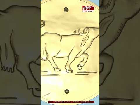 Hygiene के बड़े उल्लंघन के चलते, मुंबई के मशहूर Parsi Dairy Farm का लाइसेंस हुआ रद्द |