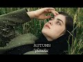 Hamidshax - Autumn (Original Mix)