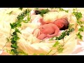 君に伝えたいこと みんなの思い出ver.