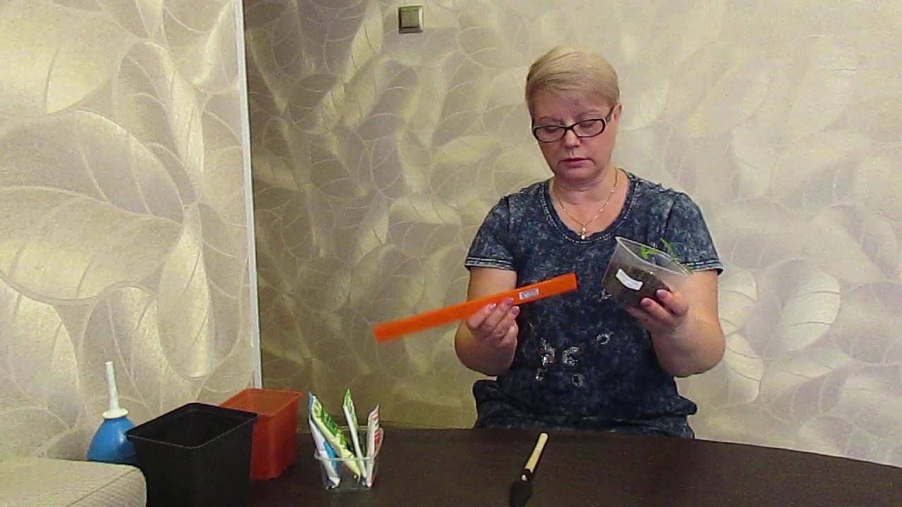 Отвечаю на вопросы.20.02.2020