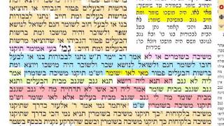 מסכת בבא קמא דף ע"ט 79