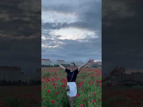 Маковое поле в