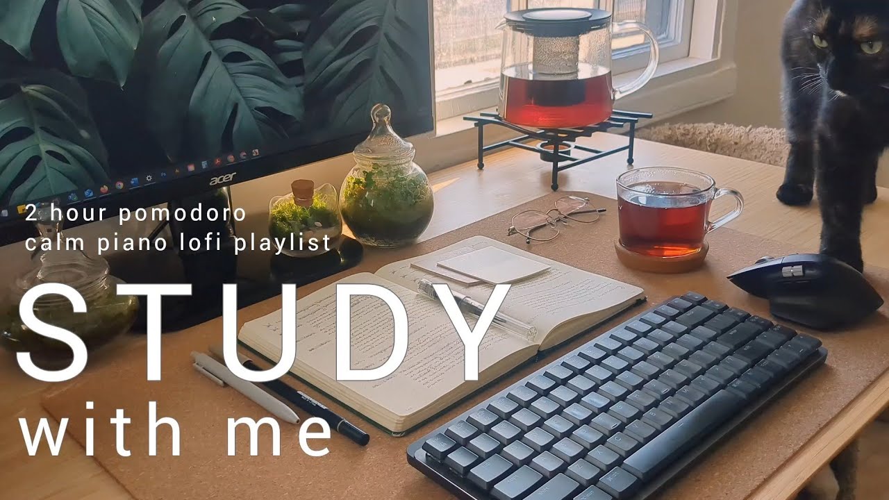 2 HOUR STUDY WITH ME ☕ calm lofi piano playlist | pomodoro 50/10 - YouTube