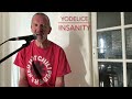 « Insanity » (Yodelice). - Cover chant