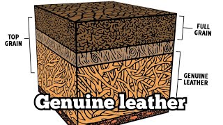Genuine leather l What is genuine leather?