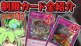 1103 Environment] What do the serious players think? Introducing