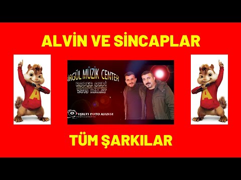 RODER ORDİ 2021 | ALVİN VE SİNCAPLAR