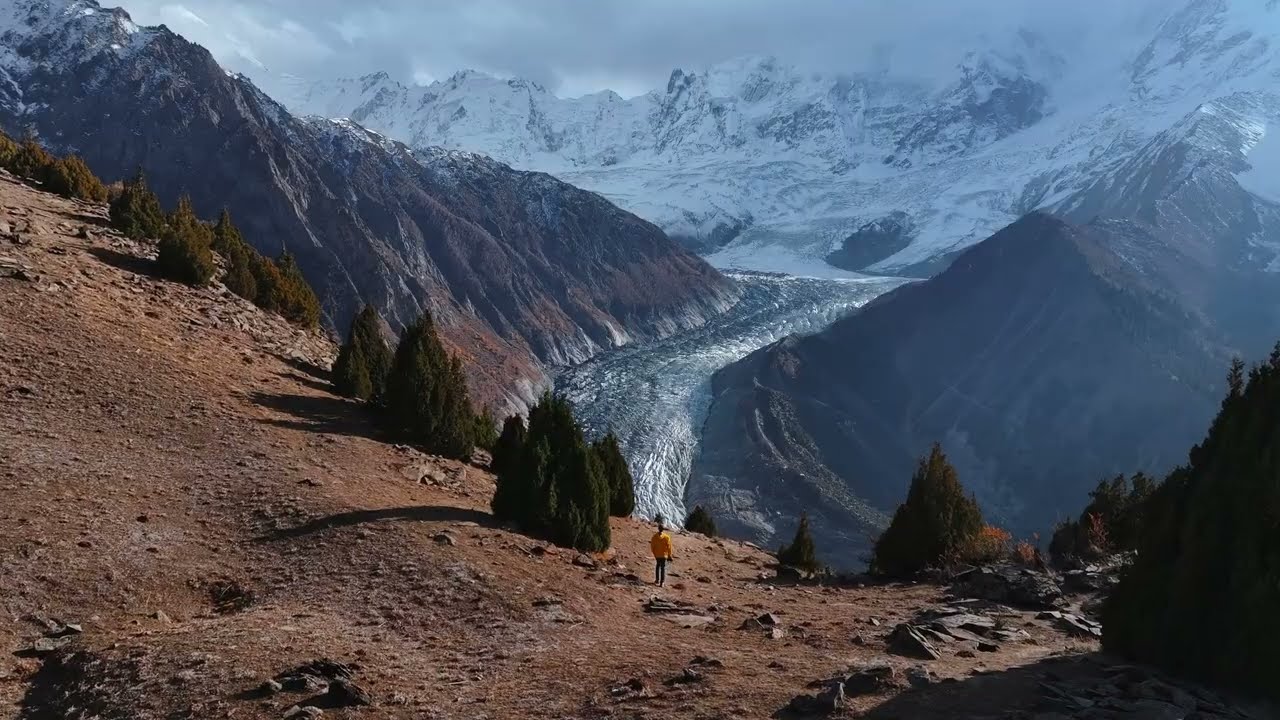 Unlocking the Hidden Secrets of Nature with Jonas Fellenstein