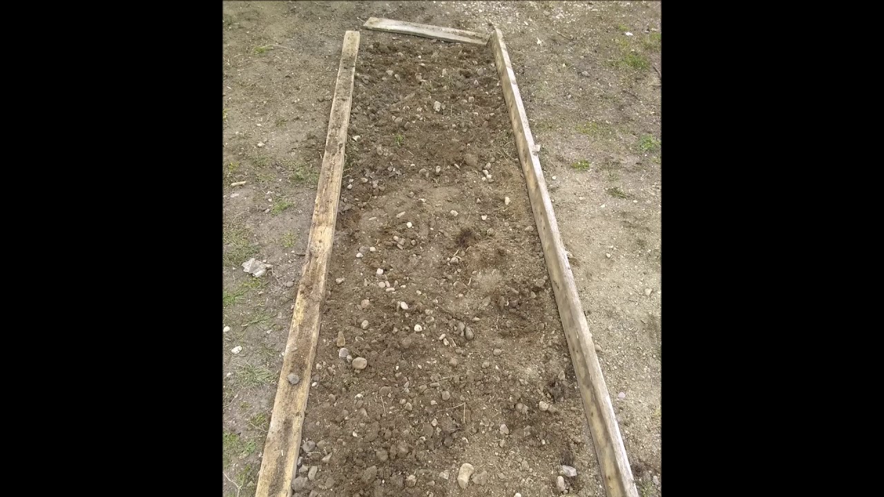 How to Build a Garden Bed Using the Lasagna Method YouTube