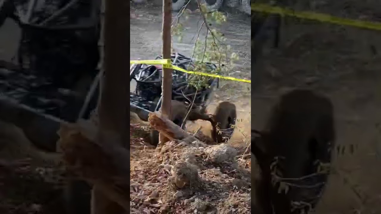 Wade Goode In Showtime 2