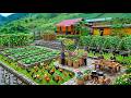 Real Off Grid Life: Harvesting, Selling at the Market & Cooking in the Rain