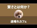 【雑談】本当の賢さとは何か？