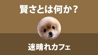 【雑談】本当の賢さとは何か？