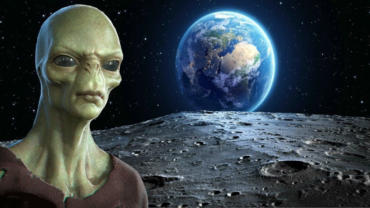Звездного года земли