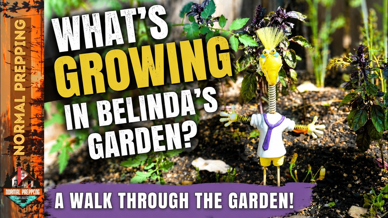 What's Growing in Belinda's Garden?