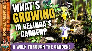 What's Growing in Belinda's Garden?