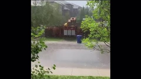 When The Trash Takes Itself Out | Garbage Bin F This, I