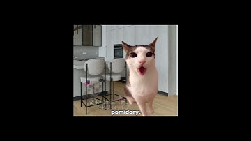 Thumbnail of Piosenka o gotowaniu 😂 #cats #śmieszne#greenscreen #cat #trend#memes#funny#memy #catmeme