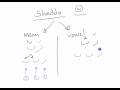 Learning Arabic: Shadda