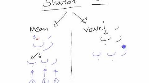 Learning Arabic: Shadda