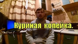 Доход от КУР НЕСУШЕК // Куриная копейка // Жизнь в деревне Доход от КУР НЕСУШЕК // Куриная копейка // Жизнь в деревне