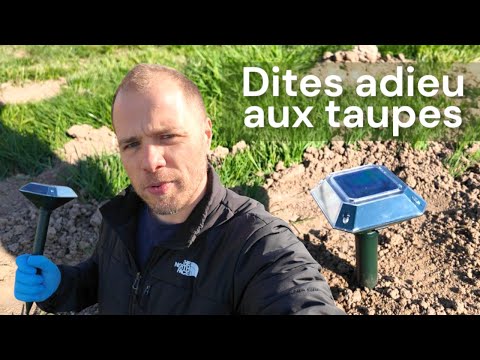 Prévention taupes : vibration solaire et répulsif posés en vidéo