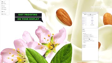 RetouchXpress - On-Screen Print and Plate Preview for Flexo Printing