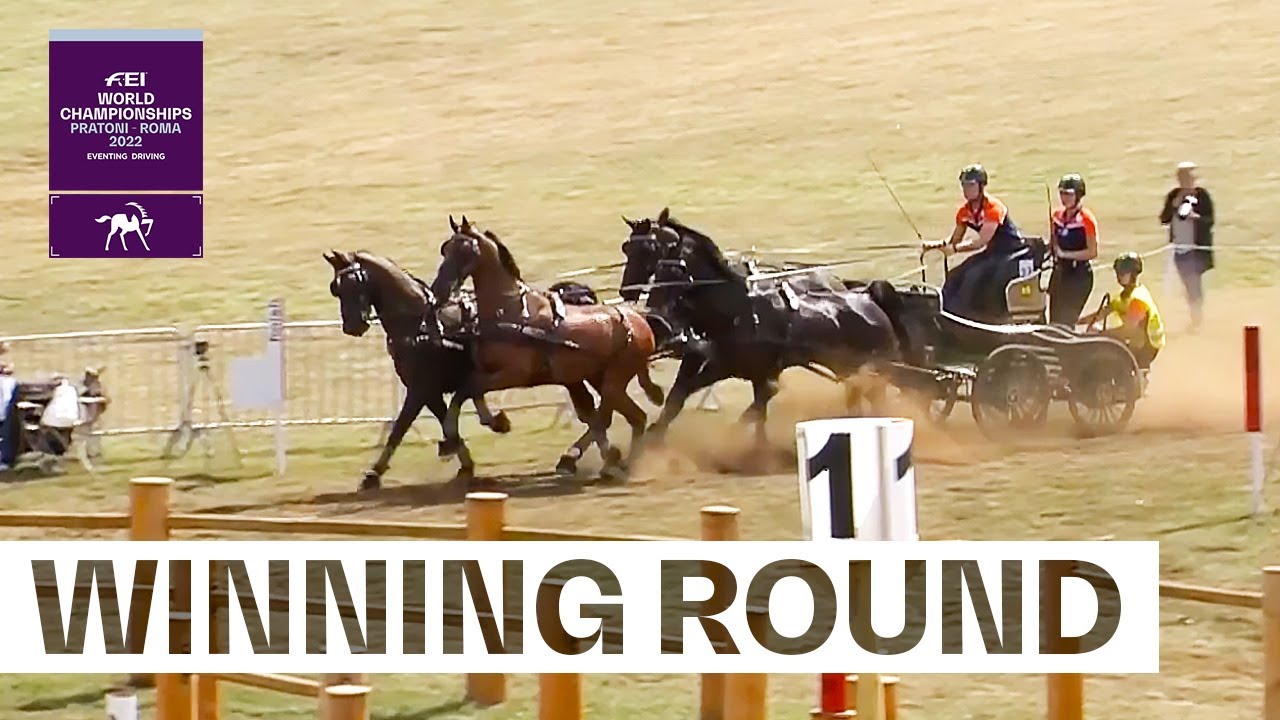 The Netherlands are nailing the FEI Driving Marathon! 🔨🇳🇱 | FEI Driving World Championship 2022