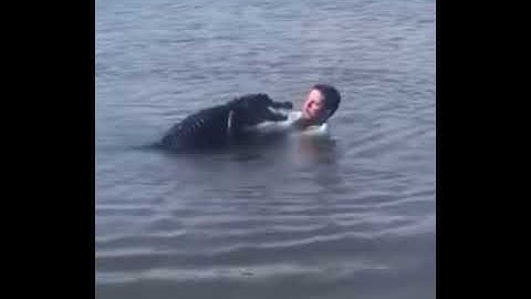 Man Dancing With Alligator