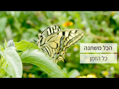 וִידֵאוֹ: כיצד למצוא אוגר אבוד (עם תמונות)