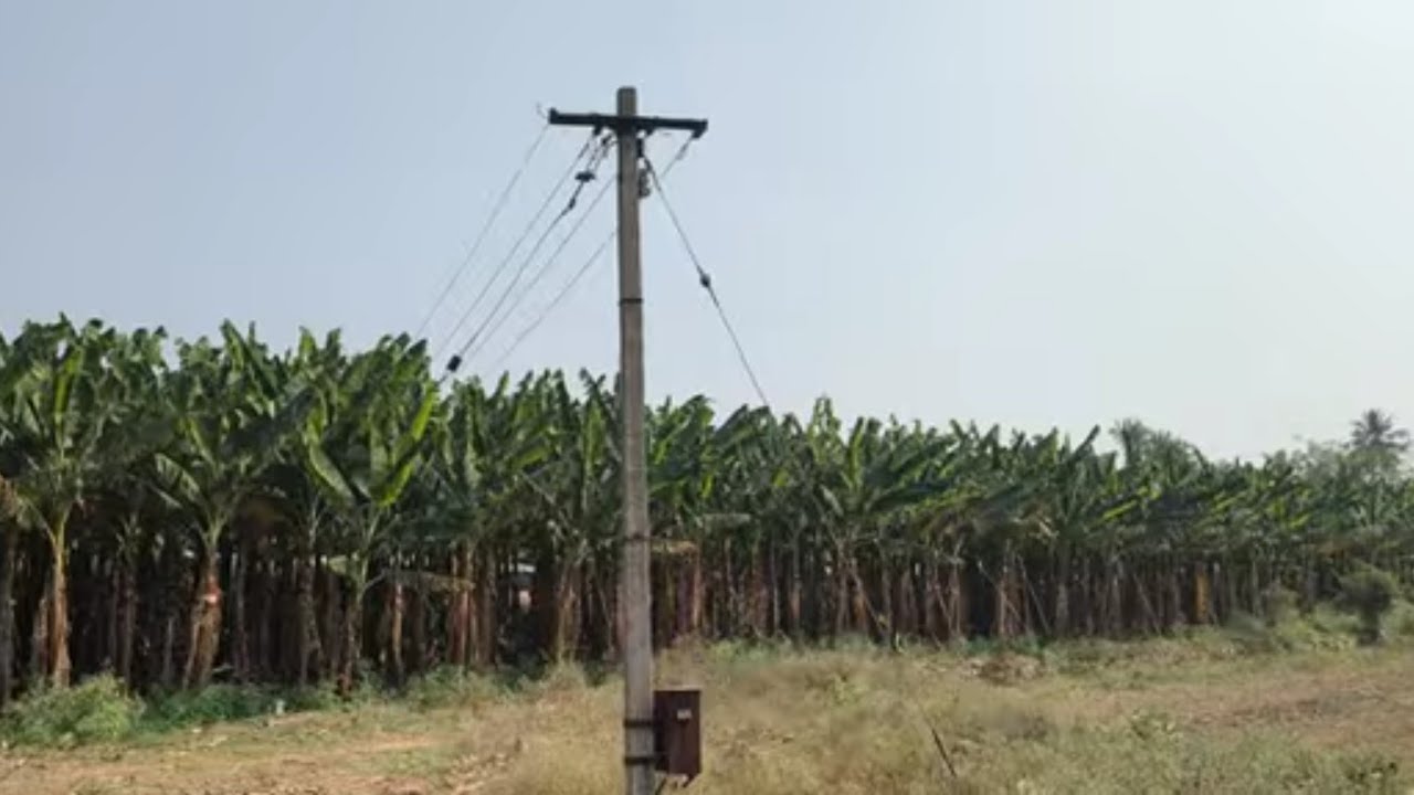 ஈரோடு (மா) கோபி (வ) நம்பியூர் அருகில் 3.30 ஏக்கர் தோட்டம் விற்பனை 9585376767