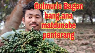 Gulmuris Bagan bang.ana matdunabe panterang