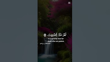 #everyone #اكسبلور #الجميع #دويتو #حالات_واتس  تلاوة خاشعة لي الشيخ خالد الجليل 🌹