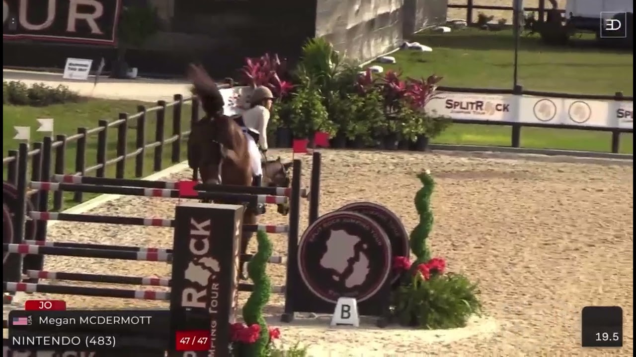 Nintendo Clear Jump Off for 3rd Place $38,700 CSI 2* Qualifier at Split Rock at TerraNova 2023
