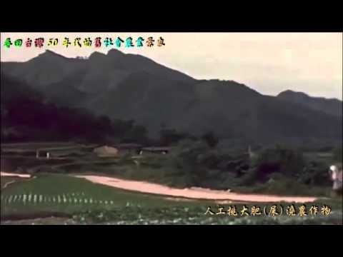 50年代臺灣農業景象