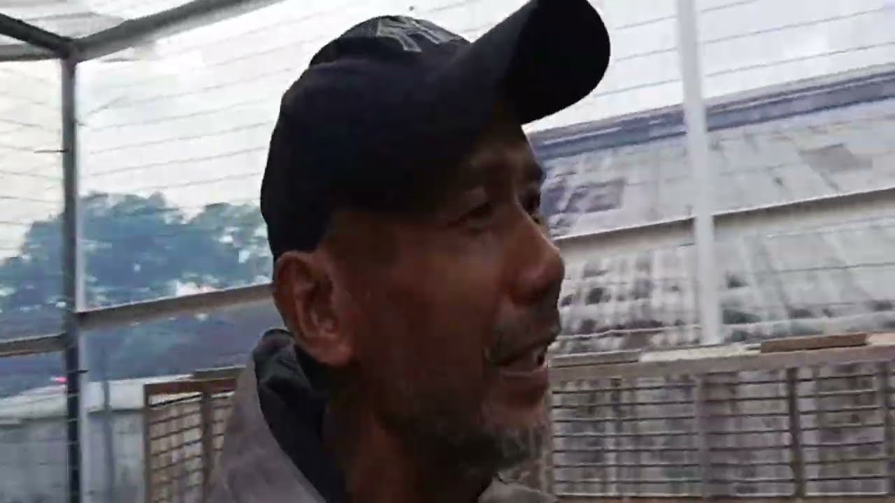 INDUKAN TERBARU DIKANDANG DOKAR  2025